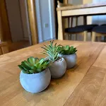 Lägenhet Bamboo Garden Banja Luka