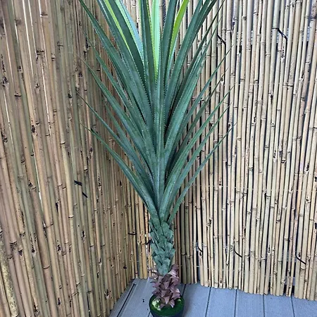 Apartament Bamboo Garden Banja Luka