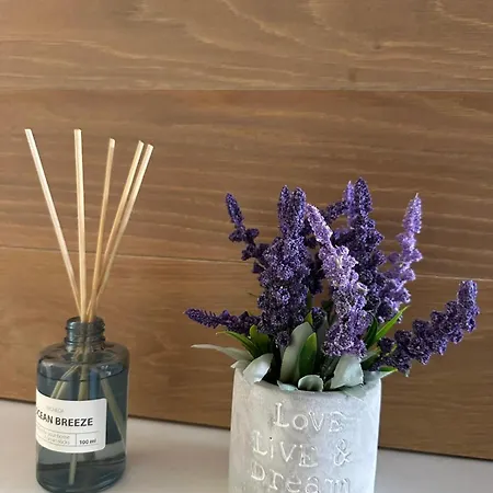 Bamboo Garden * بانيا لوكا