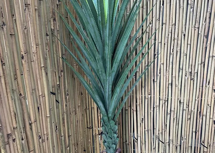 شقة Bamboo Garden بانيا لوكا