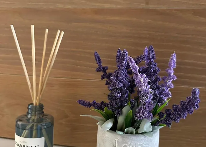 Bamboo Garden * Banja Luka