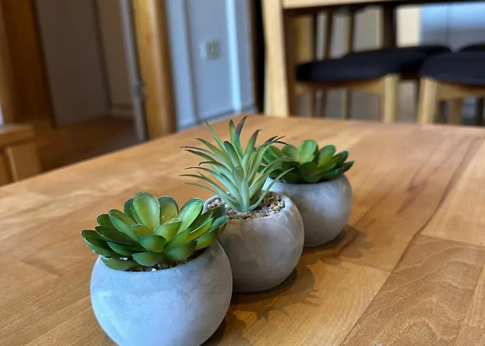 شقة Bamboo Garden بانيا لوكا